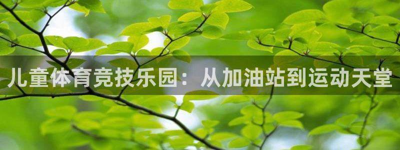 球速体育