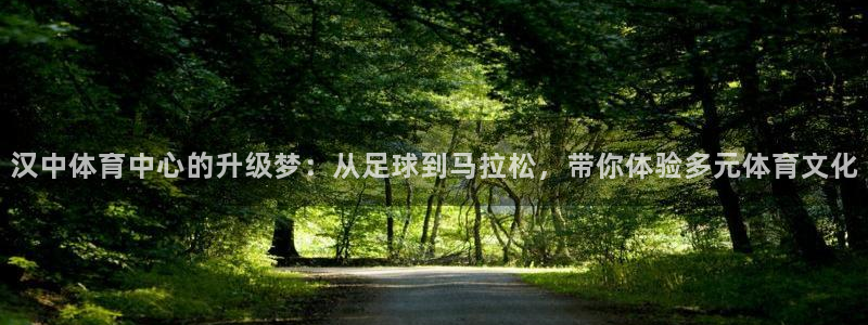 球速体育