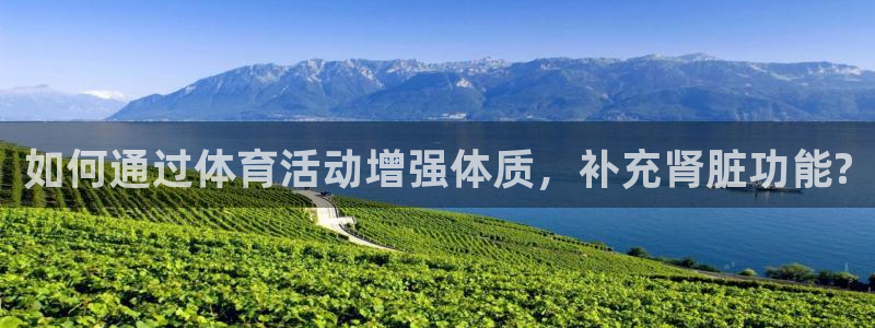 球速体育
