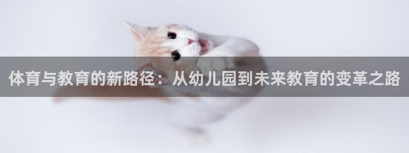 球速体育