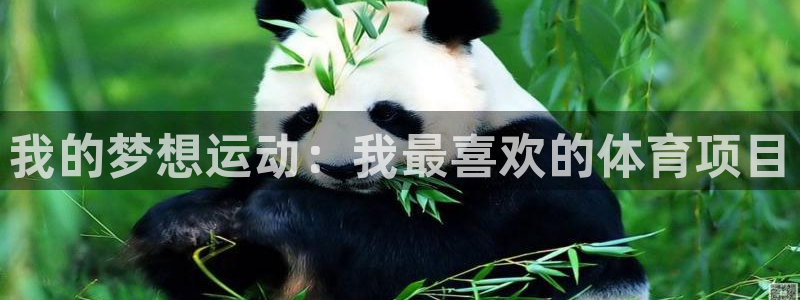 球速体育