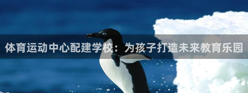 球速体育：体育运动中心配建学校：为孩子打造未来教育乐园