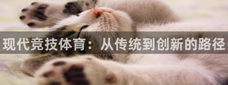 球速体育：现代竞技体育：从传统到创新的路径