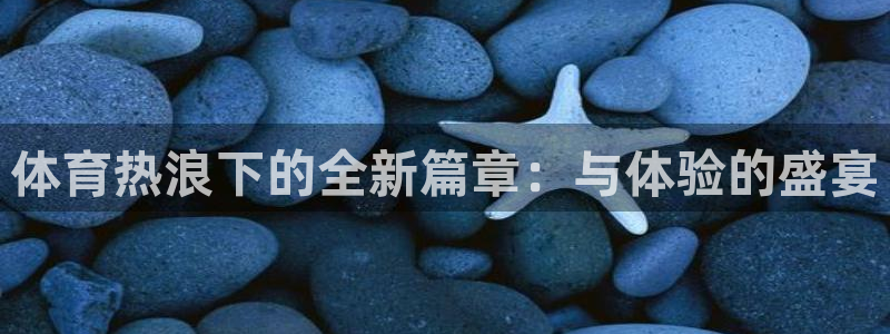 球速体育：体育热浪下的全新篇章：与体验的盛宴