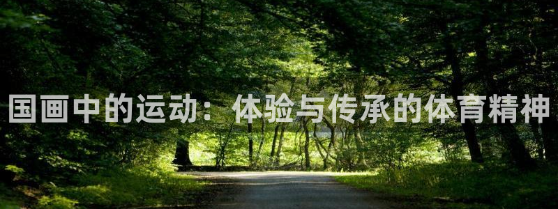 球速体育