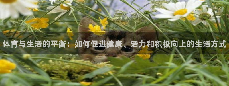 球速体育：体育与生活的平衡：如何促进健康、活力和积极向上的生活方式
