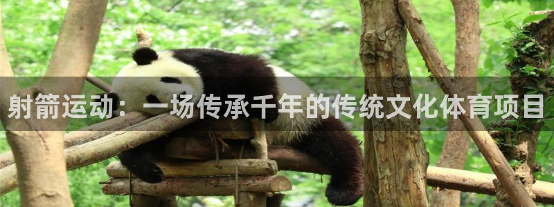 球速体育：射箭运动：一场传承千年的传统文化体育项目