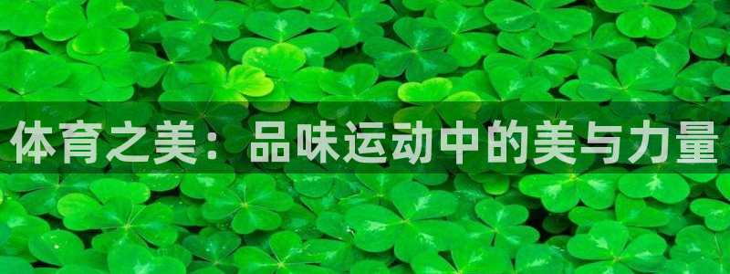 球速体育：体育之美：品味运动中的美与力量