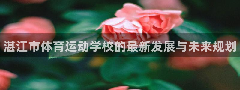 球速体育：湛江市体育运动学校的最新发展与未来规划
