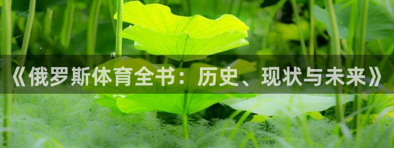 球速体育：《俄罗斯体育全书：历史、现状与未来》