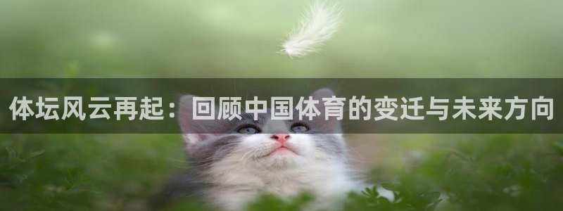 球速体育：体坛风云再起：回顾中国体育的变迁与未来方向