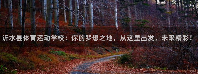 球速体育：沂水县体育运动学校：你的梦想之地，从这里出发，未来精彩！