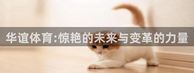 球速体育：华谊体育:惊艳的未来与变革的力量