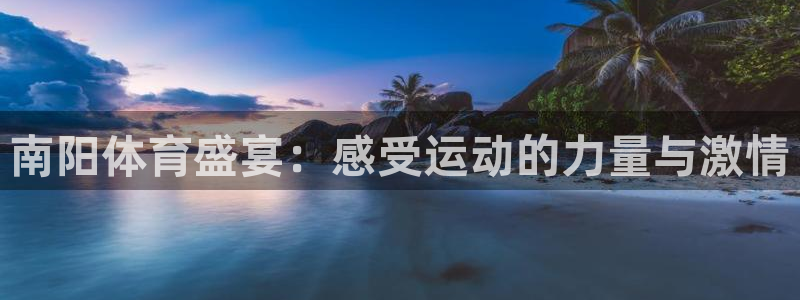 球速体育：南阳体育盛宴：感受运动的力量与激情