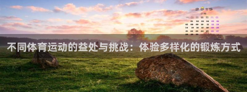 球速体育：不同体育运动的益处与挑战：体验多样化的锻炼方式